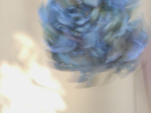 St5