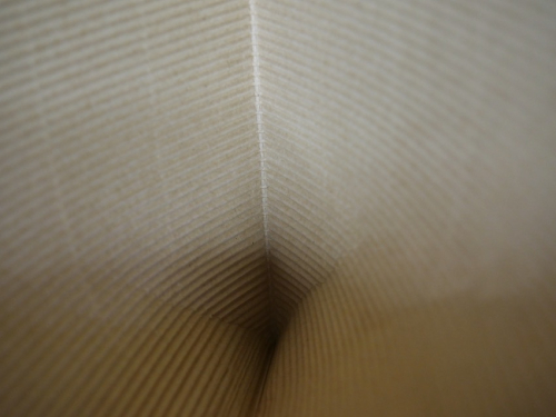 Cg4
