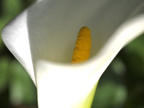 Ll3