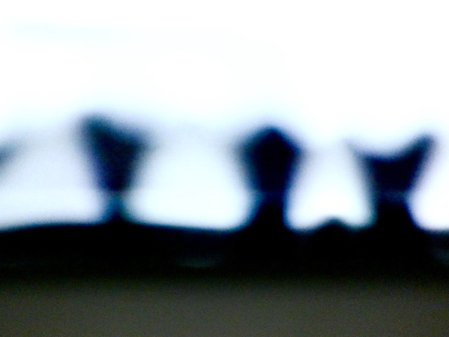 Cc6