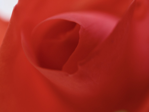 Rg9