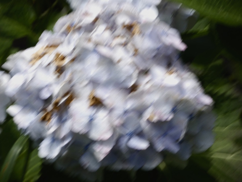 Gn9