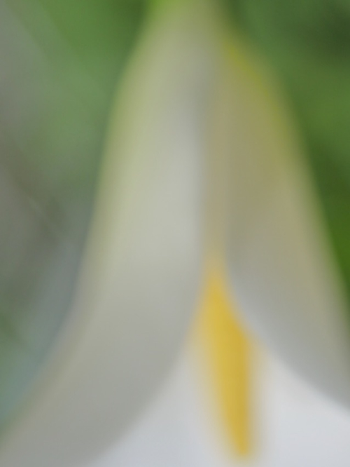 Ll1